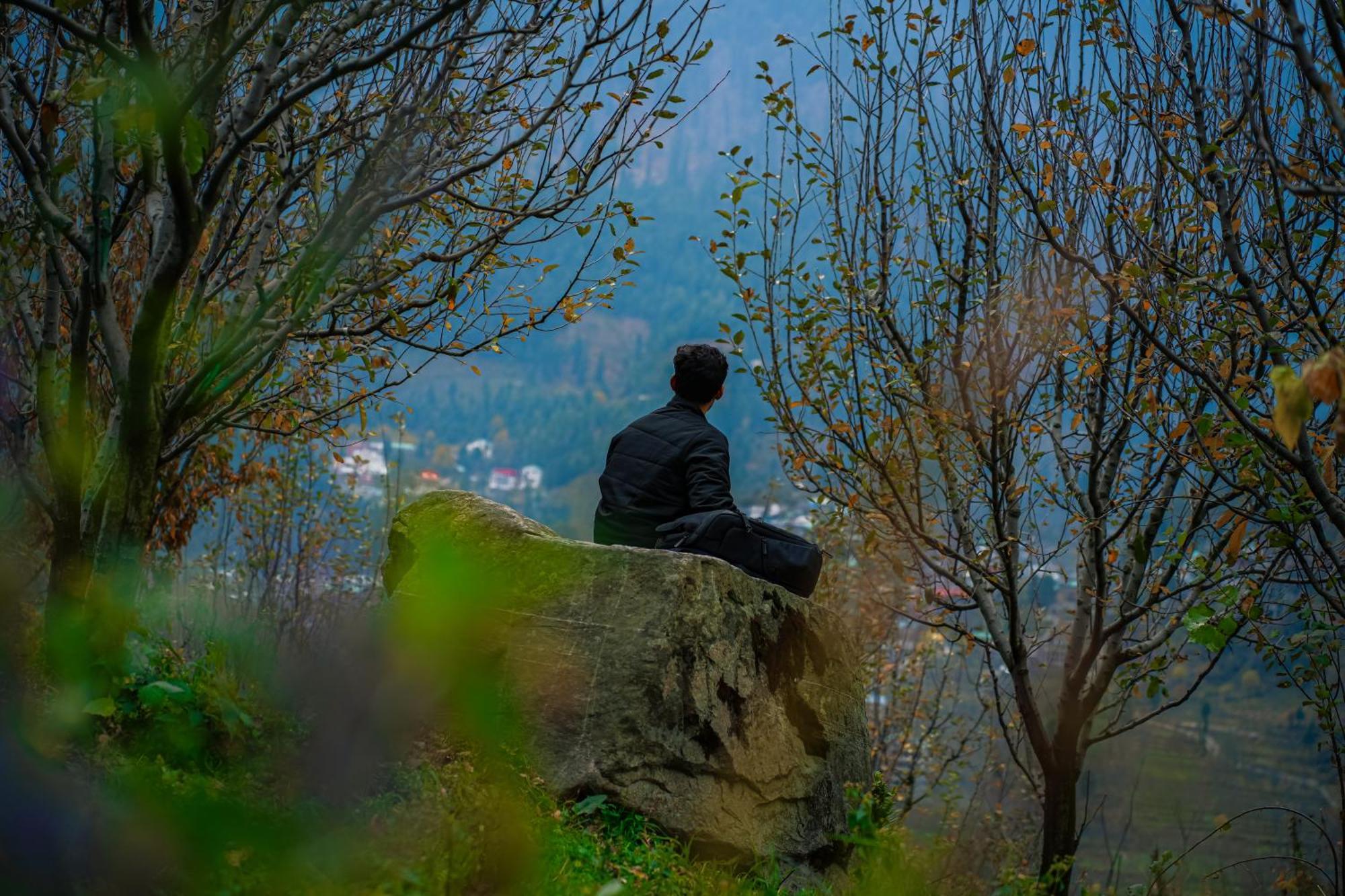 Yaarana Stay & Cafe, Vashisht, Manali Экстерьер фото